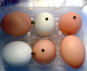 Originale Eierpackung mit 6 Eier aus dem Jahre 1970